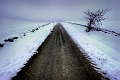paysage 15_01_10n02